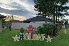 247413987_399187818520963_8972834057134896636_n