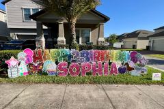 HBD12