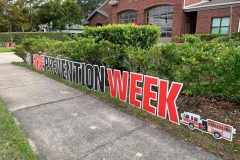 243283294_386268479812897_8375947796642578901_n