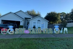 245329656_390831666023245_7736185366105192465_n