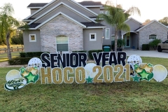 244293265_385518723221206_8089037019053018925_n